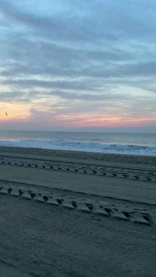 Waves breaking on an empty beach under a pink and blue sky, with a gull overhead